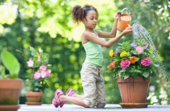 Container Gardens: 9 Tips for Conserving Water