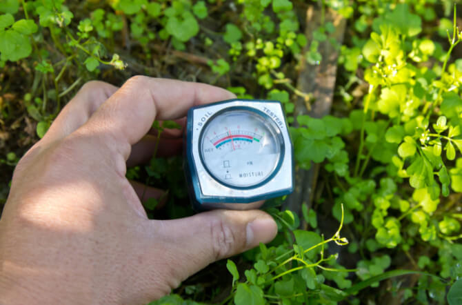 Handy Water-Saving Gadgets for Gardeners