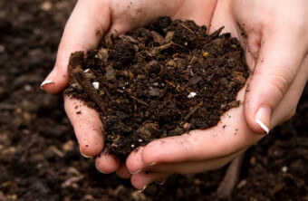 Make the Most of Mulch to Conserve Water