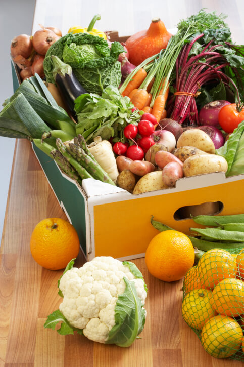 plant diets: flexitarian fruitarian, vegan, or vegetarian?
