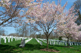 How to Arrange for Burial in a VA Cemetery