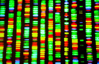 Genome Sequencing vs. Genotyping