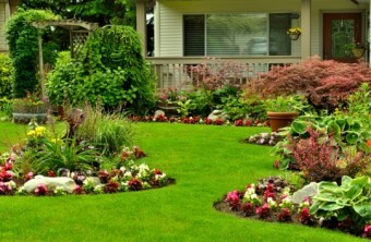 Landscaping to Keep Your Foundation Dry