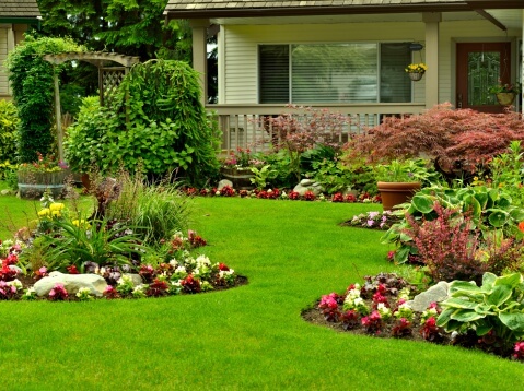 Landscaping to Keep Your Foundation Dry