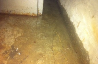 What to Do When Your Basement Is Flooded